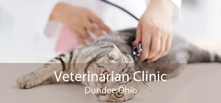 Veterinarian Clinic Dundee Ohio