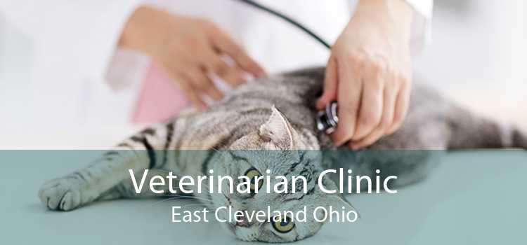 Veterinarian Clinic East Cleveland Ohio