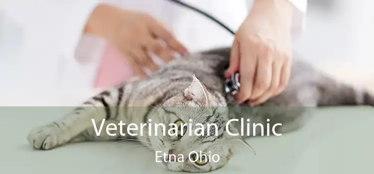 Veterinarian Clinic Etna Ohio