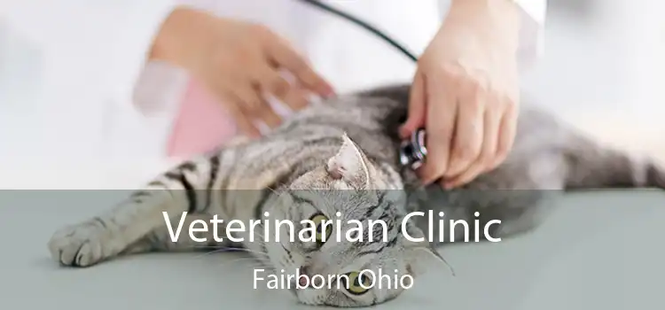 Veterinarian Clinic Fairborn Ohio