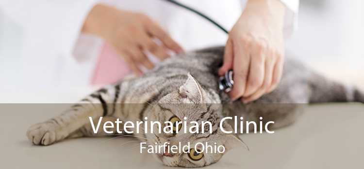 Veterinarian Clinic Fairfield Ohio