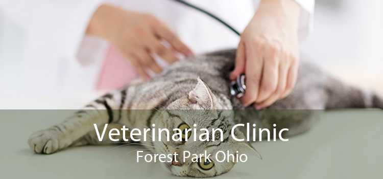 Veterinarian Clinic Forest Park Ohio