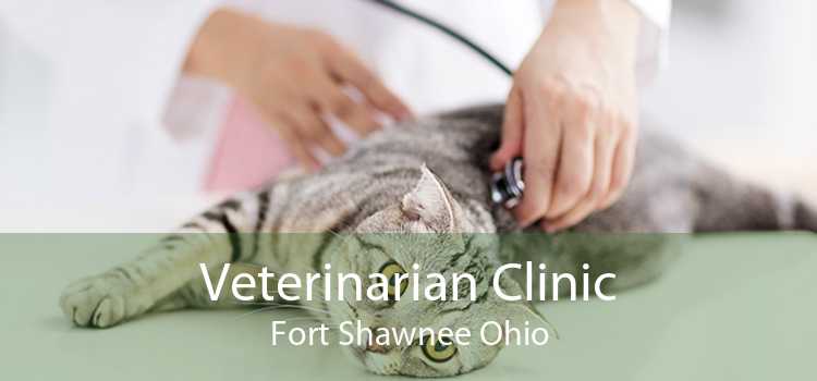 Veterinarian Clinic Fort Shawnee Ohio