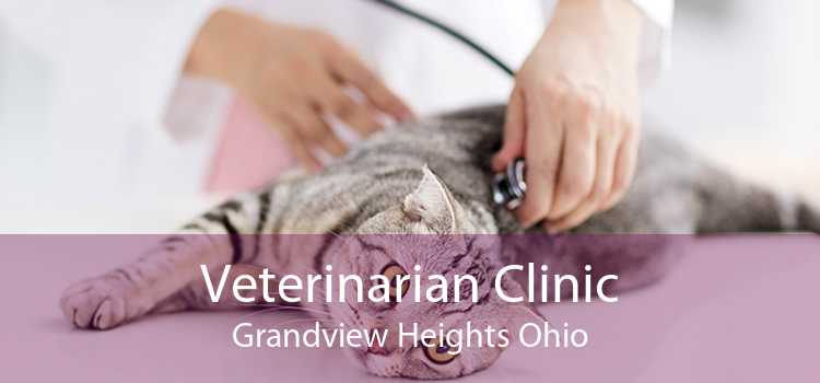 Veterinarian Clinic Grandview Heights Ohio