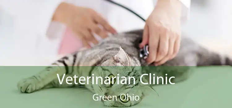 Veterinarian Clinic Green Ohio