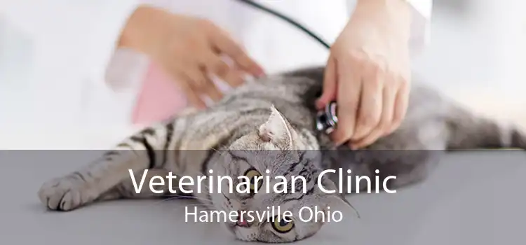 Veterinarian Clinic Hamersville Ohio