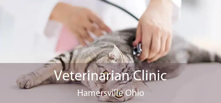 Veterinarian Clinic Hamersville Ohio