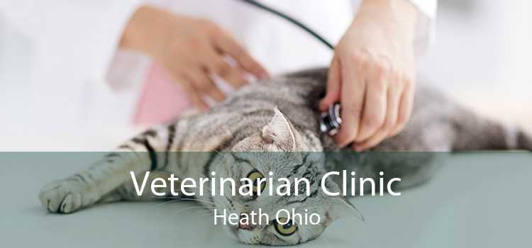 Veterinarian Clinic Heath Ohio
