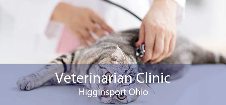 Veterinarian Clinic Higginsport Ohio
