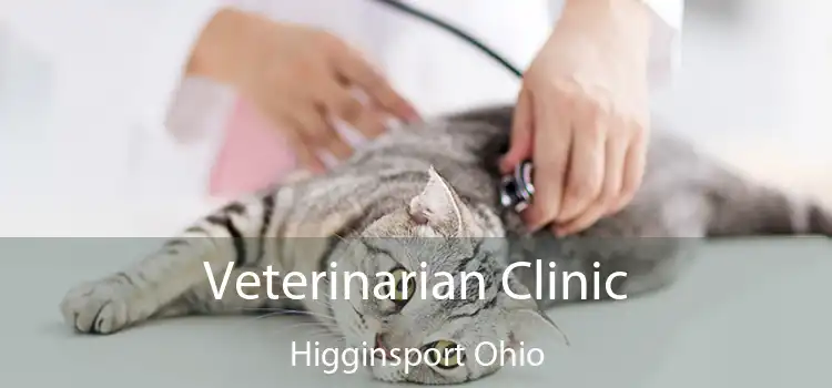 Veterinarian Clinic Higginsport Ohio