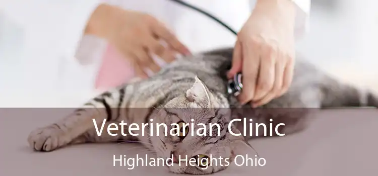 Veterinarian Clinic Highland Heights Ohio