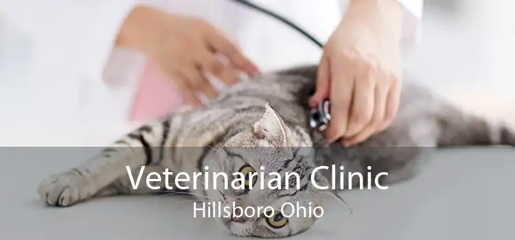 Veterinarian Clinic Hillsboro Ohio