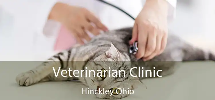 Veterinarian Clinic Hinckley Ohio