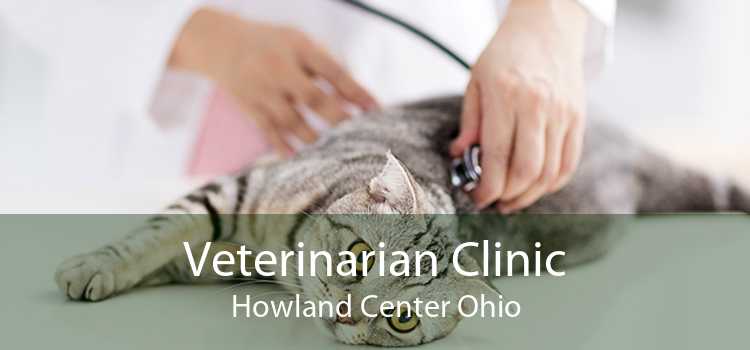 Veterinarian Clinic Howland Center Ohio