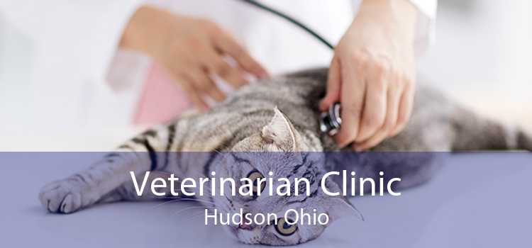Veterinarian Clinic Hudson Ohio