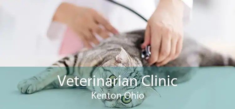 Veterinarian Clinic Kenton Ohio