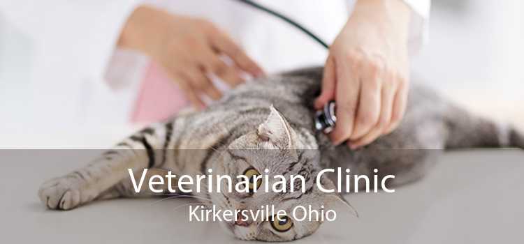 Veterinarian Clinic Kirkersville Ohio