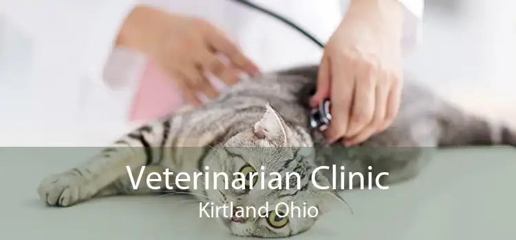 Veterinarian Clinic Kirtland Ohio