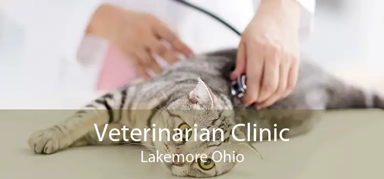 Veterinarian Clinic Lakemore Ohio
