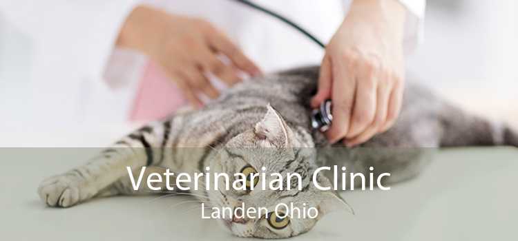Veterinarian Clinic Landen Ohio