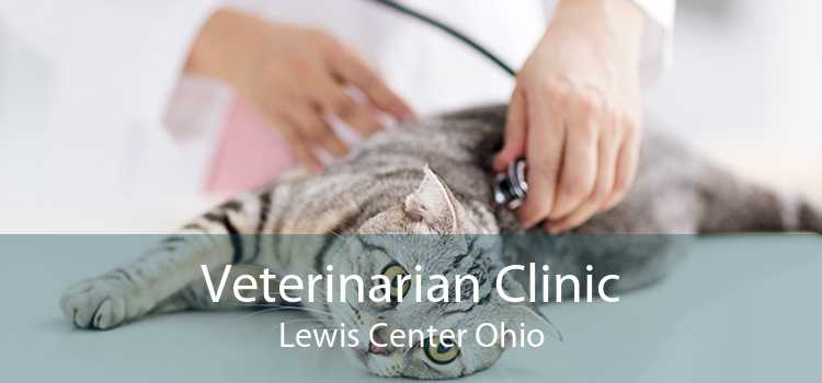 Veterinarian Clinic Lewis Center Ohio