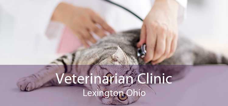 Veterinarian Clinic Lexington Ohio
