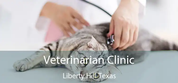 Veterinarian Clinic Liberty Hill Texas