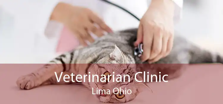 Veterinarian Clinic Lima Ohio