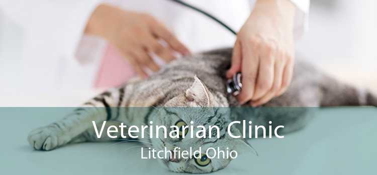 Veterinarian Clinic Litchfield Ohio