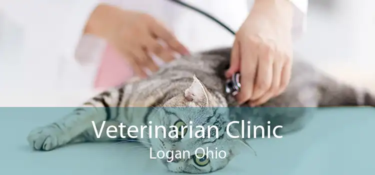 Veterinarian Clinic Logan Ohio