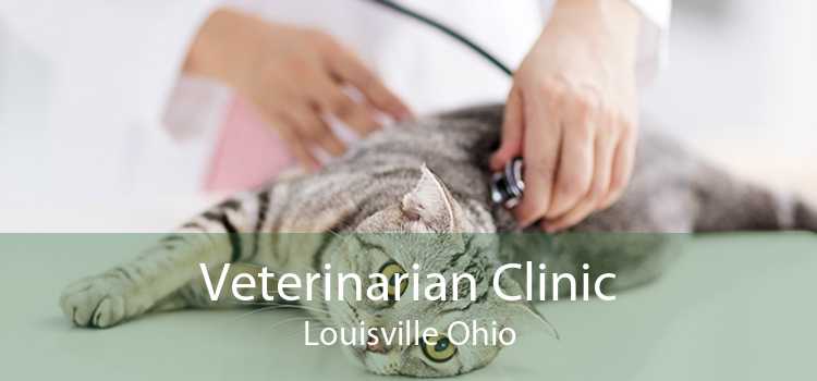 Veterinarian Clinic Louisville Ohio