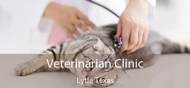 Veterinarian Clinic Lytle Texas
