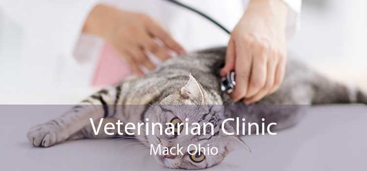 Veterinarian Clinic Mack Ohio