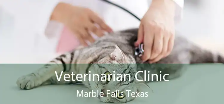 Veterinarian Clinic Marble Falls Texas