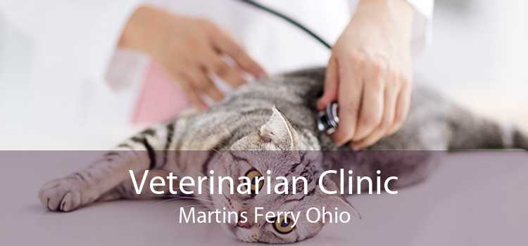 Veterinarian Clinic Martins Ferry Ohio