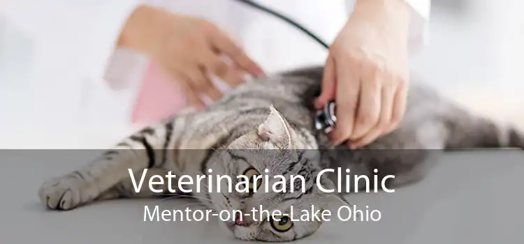 Veterinarian Clinic Mentor-on-the-Lake Ohio