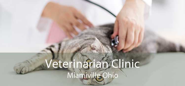 Veterinarian Clinic Miamiville Ohio