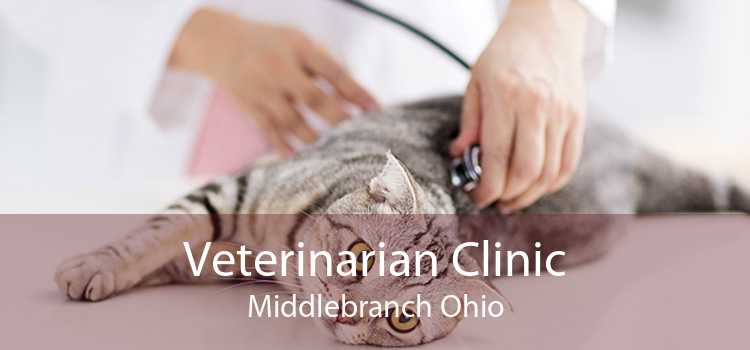 Veterinarian Clinic Middlebranch Ohio