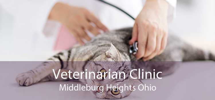 Veterinarian Clinic Middleburg Heights Ohio