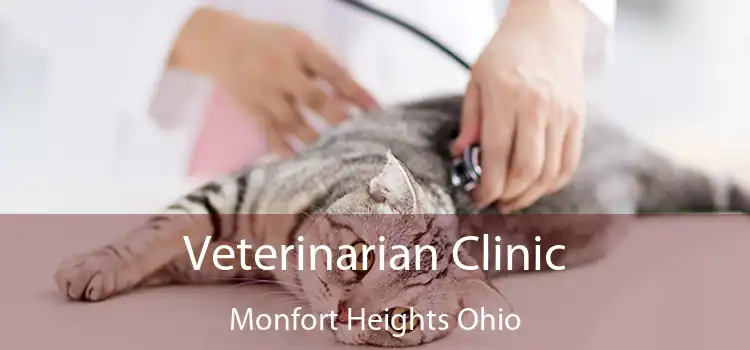 Veterinarian Clinic Monfort Heights Ohio