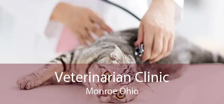 Veterinarian Clinic Monroe Ohio
