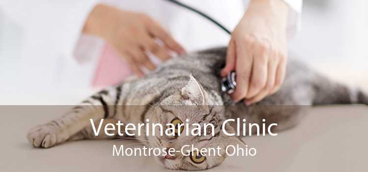 Veterinarian Clinic Montrose-Ghent Ohio