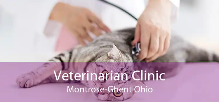Veterinarian Clinic Montrose-Ghent Ohio