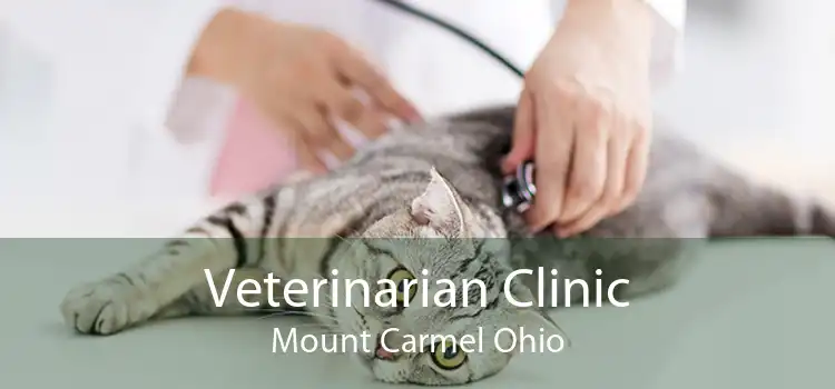 Veterinarian Clinic Mount Carmel Ohio