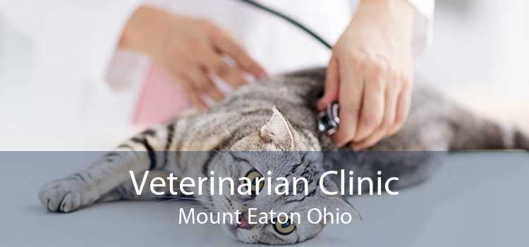 Veterinarian Clinic Mount Eaton Ohio