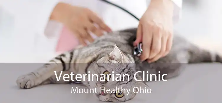 Veterinarian Clinic Mount Healthy Ohio