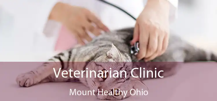 Veterinarian Clinic Mount Healthy Ohio