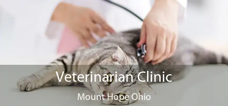 Veterinarian Clinic Mount Hope Ohio