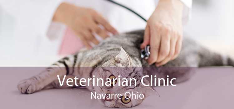 Veterinarian Clinic Navarre Ohio