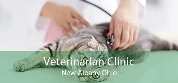Veterinarian Clinic New Albany Ohio